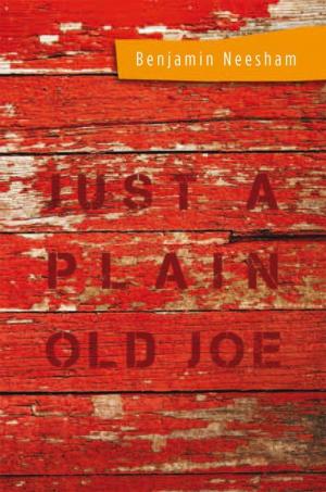 Cover of the book Just a Plain Old Joe by Emmanuel Danstan Chinunda