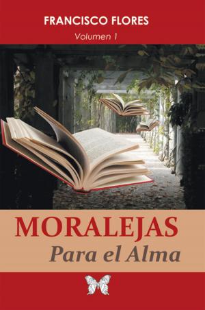 Cover of the book Moralejas Para El Alma by Astrid Amara