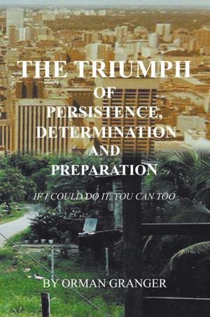 Cover of the book The Triumph of Persistence, Determination and Preparation by Peter Wallburg
