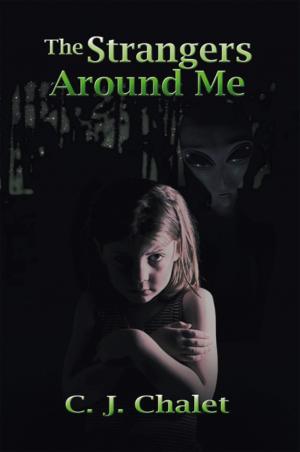 Cover of the book The Strangers Around Me by Stephanie
