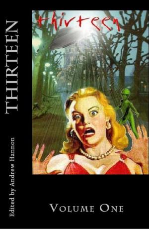 Cover of the book Thirteen Volume One by Joseph Inzirillo