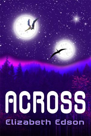 Cover of the book Across by Amber Basso