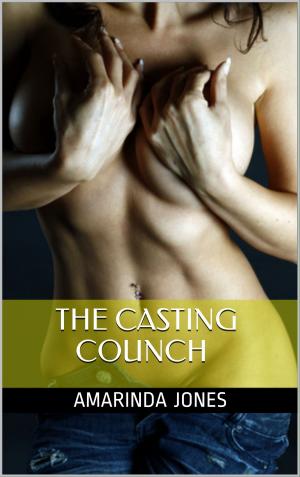 Book cover of The Casting Couch