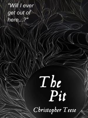 Book cover of The Pit