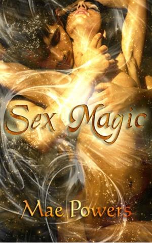 Cover of the book Sex Magic by Luis Antonio Carrillo Torres