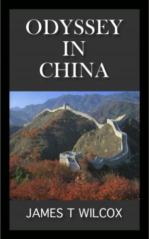 Cover of the book Odyssey in China by Jesse Kimmel-Freeman