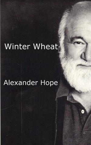 Book cover of Winter Wheat