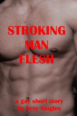 Cover of the book Stroking Man Flesh by Jericho C. Hale