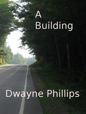 Book cover of A Building