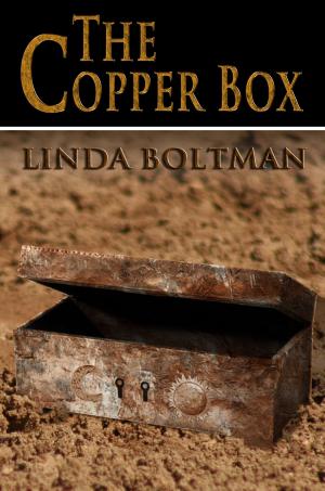Book cover of The Copper Box