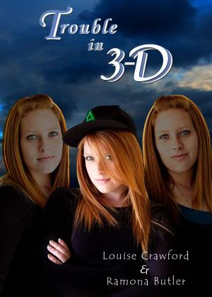 Cover of the book Trouble in 3-D by RC Boldt
