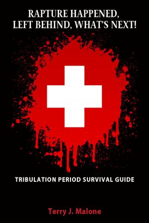 Book cover of Rapture Happened, Left Behind, What's Next!: Tribulation Period Survival Guide