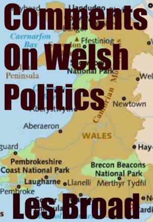 bigCover of the book Comments On Welsh Politics by 