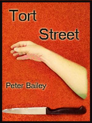 Cover of the book Tort Street by Nathan Allen