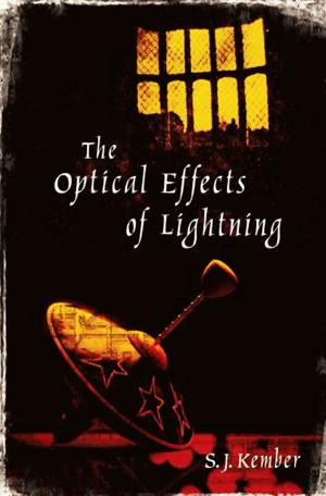 Cover of the book The Optical Effects of Lightning by Paul Rudd