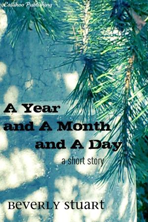 Cover of the book A Year and a Month and a Day by Beverly Stuart