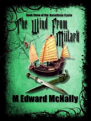 Cover of the book The Wind from Miilark by Sebastián Lalaurette