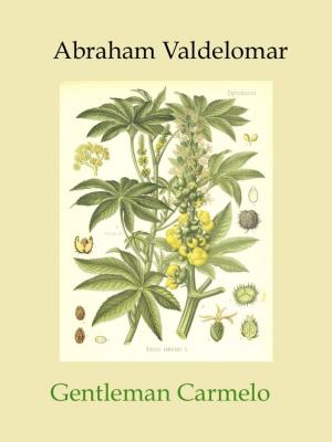 Cover of the book Gentleman Carmelo by Joaquim Maria Machado de Assis, Juan LePuen