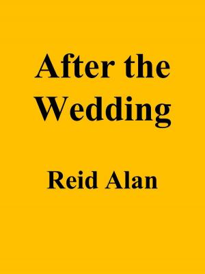 Cover of After the Wedding