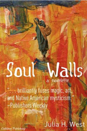 Book cover of Soul Walls