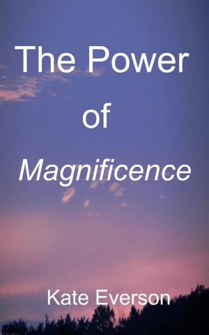 Book cover of The Power of Magnificence