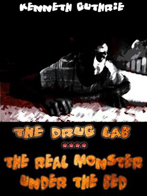 Book cover of The Drug Lab and The Real Monster Under The Bed (Insomnia 3 + 4)