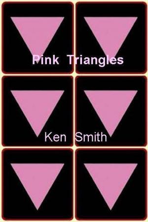 Cover of Pink Triangles