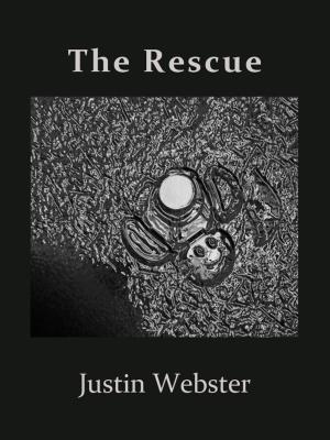 Cover of the book The Rescue by Jolie Mason