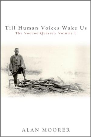 Cover of the book Till Human Voices Wake Us by Monique McMorgan