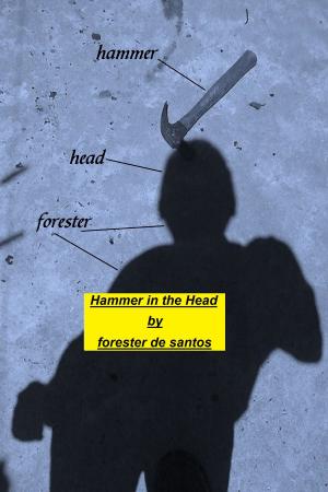 Book cover of Hammer In The Head