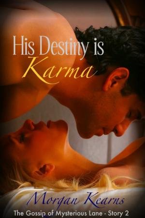 Cover of the book His Destiny is Karma (The Gossip of Mysterious Lane #2) by Rafael Pérez Gay