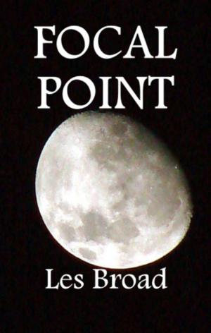 Book cover of Focal Point