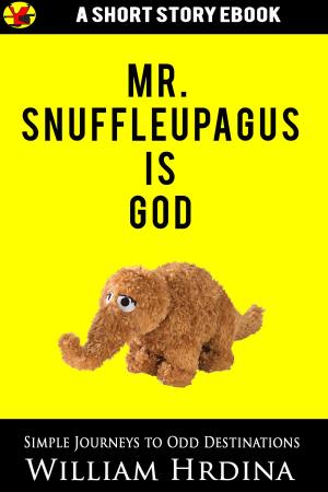 Book cover of Mr. Snuffleupagus Is God