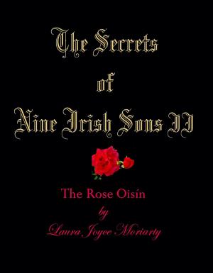 bigCover of the book The Secrets of Nine Irish Sons: II The Rose Oisín by 