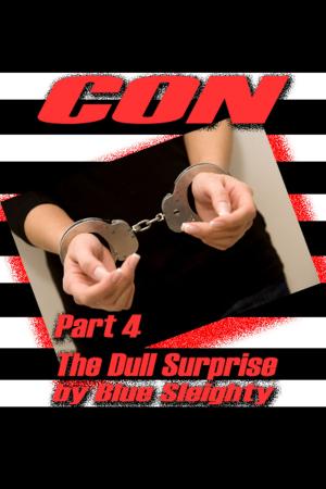 Book cover of CON: Part 4 - The Dull Surprise