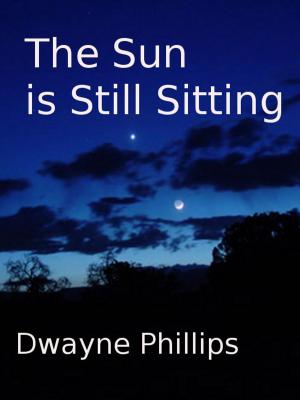 Cover of the book The Sun is Still Sitting by Dwayne Phillips