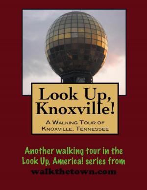 Book cover of Look Up, Knoxville! A Walking Tour of Knoxville, Tennessee