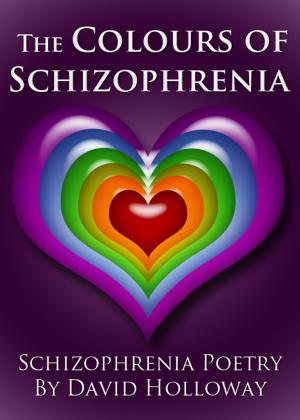 Cover of the book The Colours of Schizophrenia by Cristina Kim