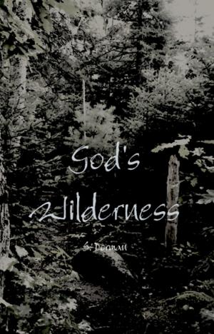 Cover of the book God's Wilderness by N. Apythia Morges