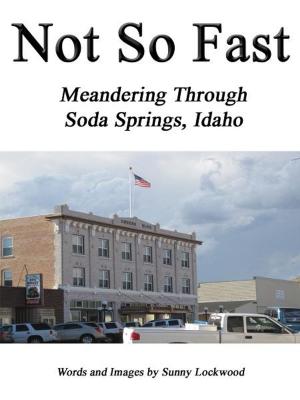 Cover of the book Not So Fast: Meandering Through Soda Springs, Idaho by daya ker