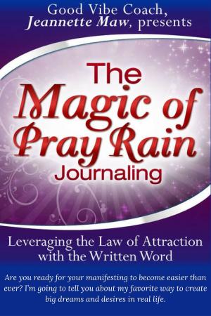 Book cover of The Magic of Pray Rain Journaling
