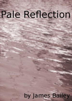 Book cover of Pale Reflection