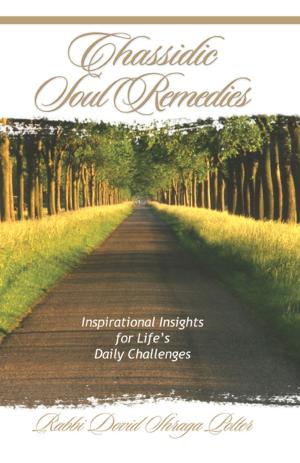 Cover of the book Chassidic Soul Remedies by craig lock