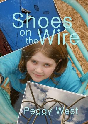 Cover of the book Shoes on the Wire by Dontrel Scott