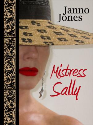 Book cover of Mistress Sally