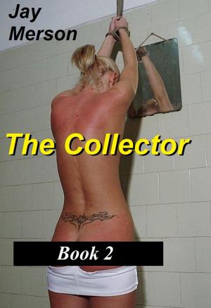 Cover of The Collector - Books 2 (Strong BDSM erotica)