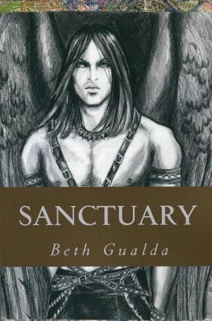 Cover of the book Sanctuary by S.D. Wasley