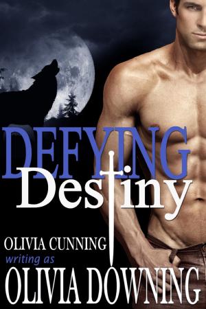 bigCover of the book Defying Destiny by 