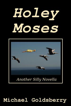 Cover of the book Holey Moses by Catherine Stein