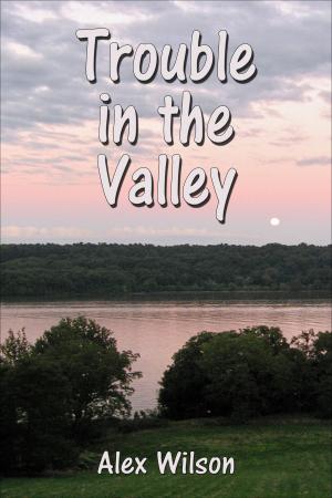 bigCover of the book Trouble in the Valley by 